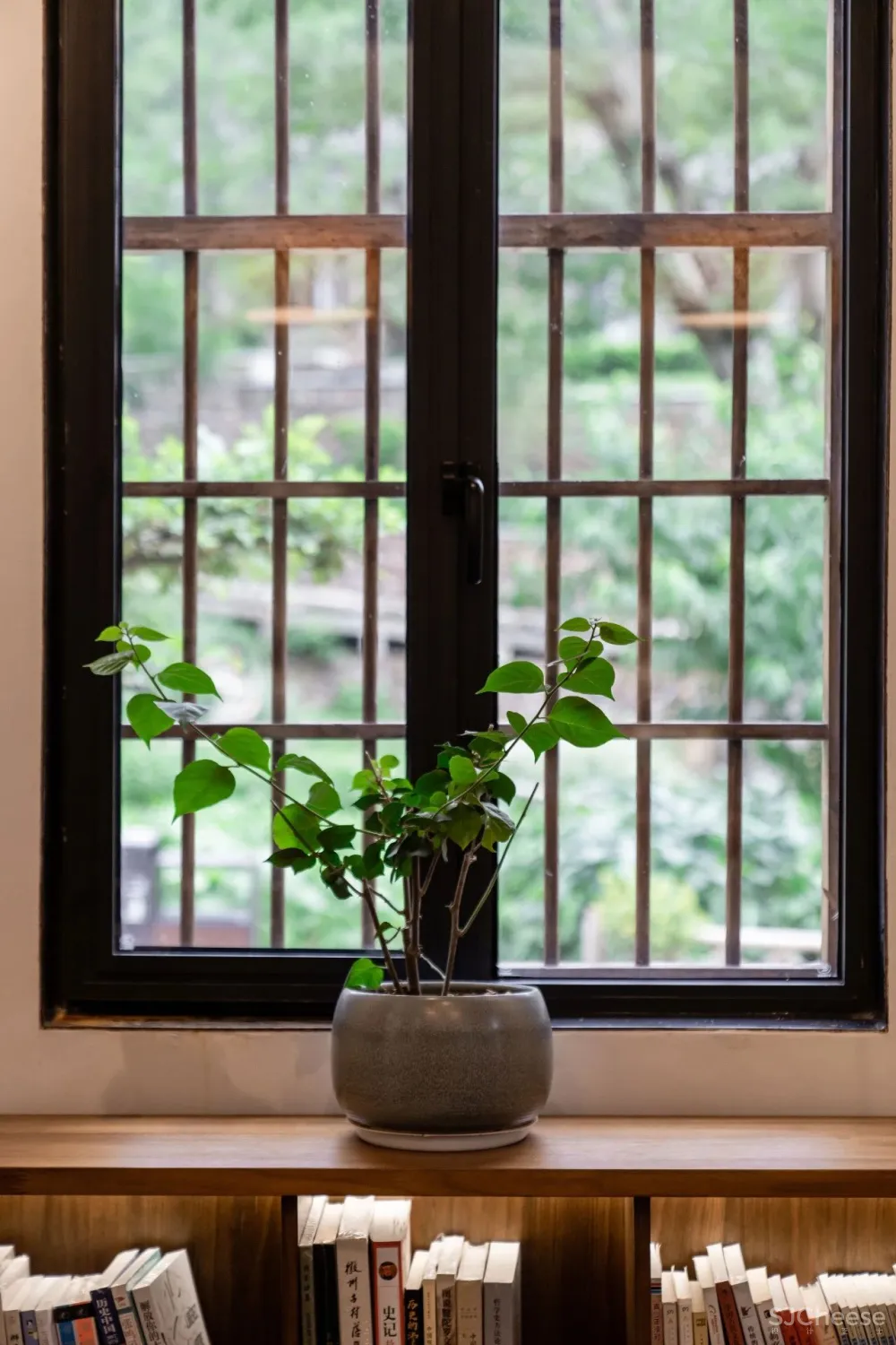 云里安凹：从14户普通民房到142亩精致山居，一座平凡村落的进化史