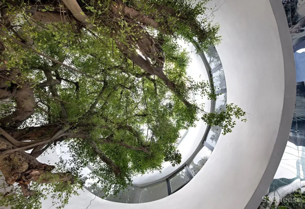 矩阵纵横|海口龙湖光年体验中心