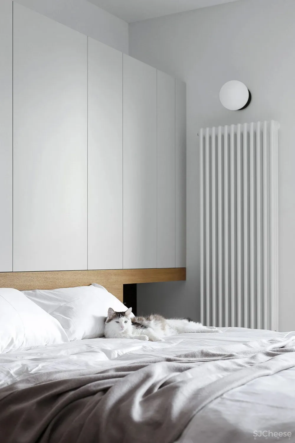 具有功能性和美学的小公寓