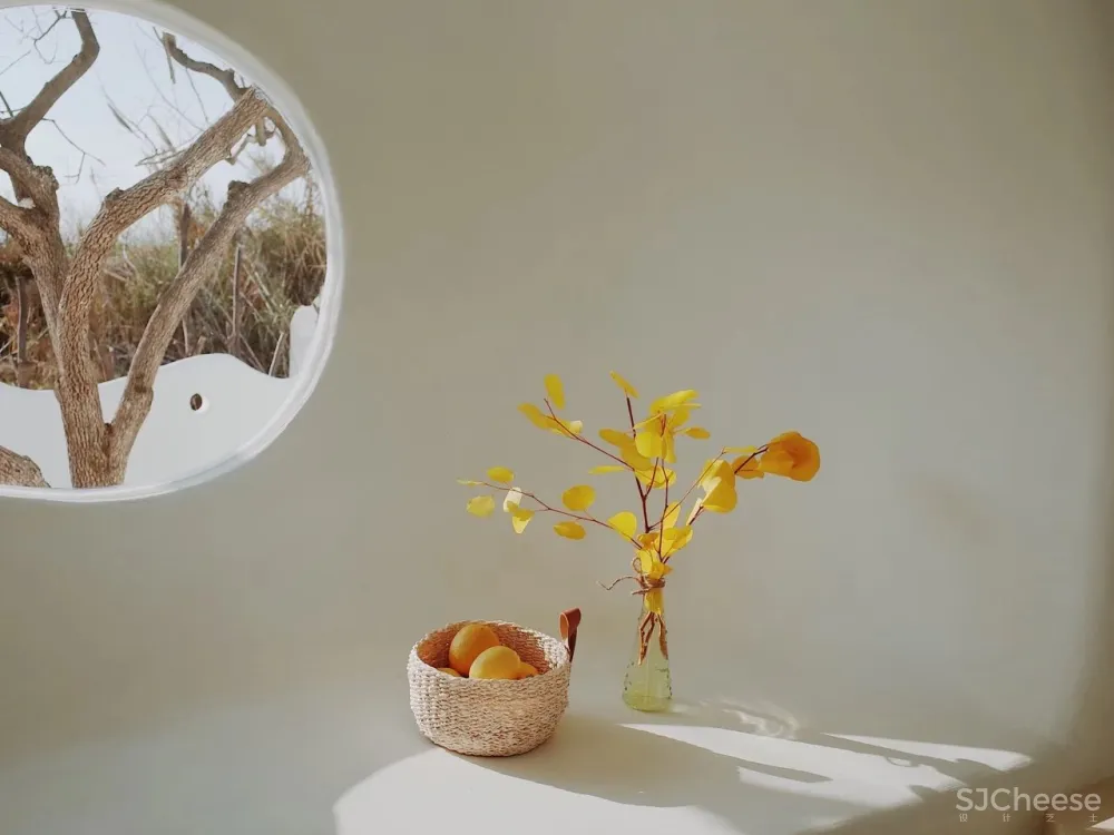 名宿新作 上海新打卡点 迪士尼附近优雅名宿|名宿