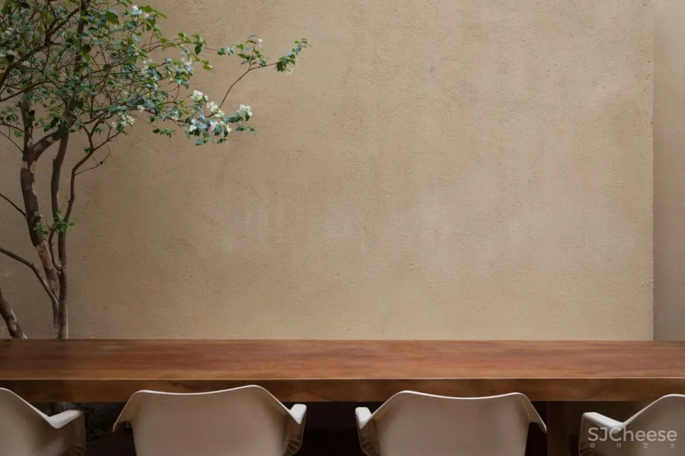 MNMA STUDIO在圣保罗的TERRACOTTA梦想中的两种热带风情。