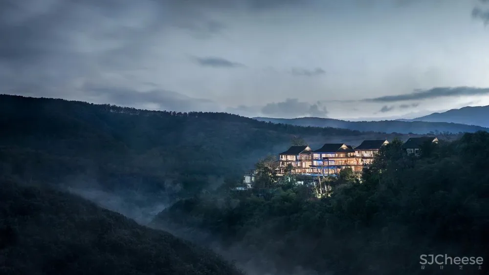 张灿新作 归隐到热带雨林中!