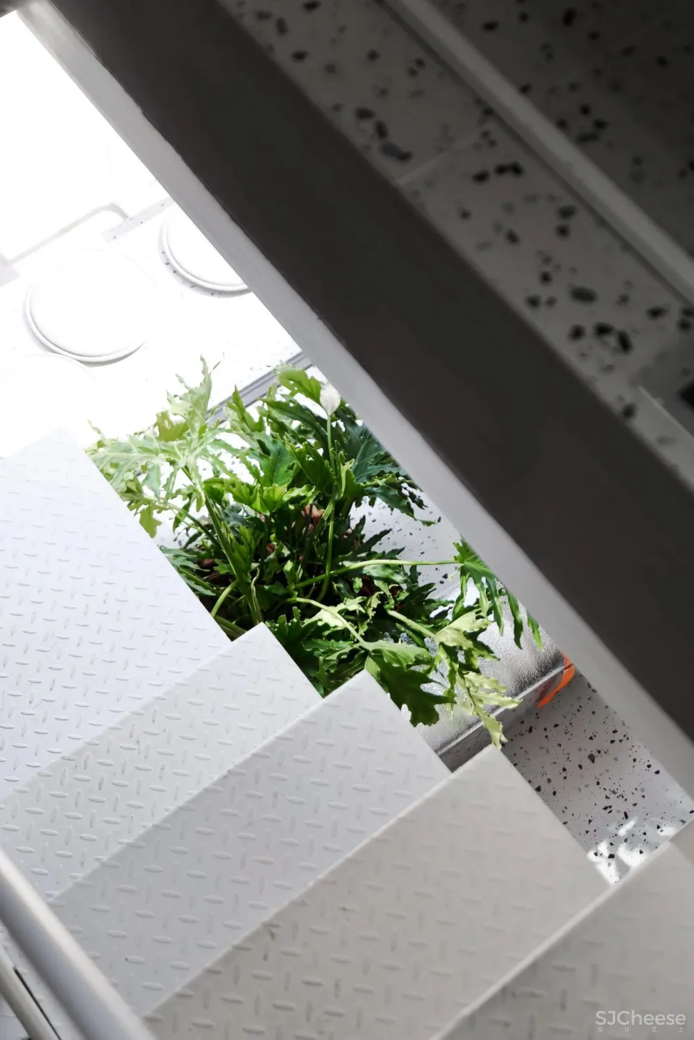 离宅半米 30平的工作室装12人,有植被还能办沙龙?