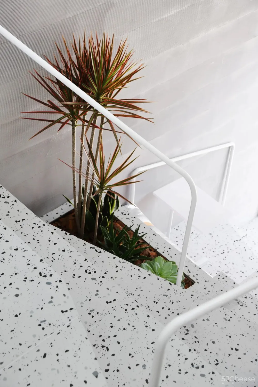 离宅半米 30平的工作室装12人,有植被还能办沙龙?