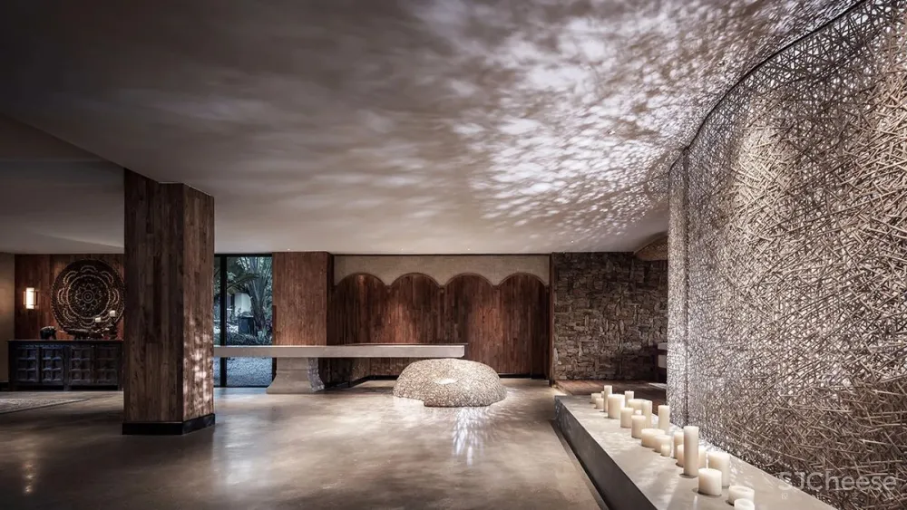 张灿新作 归隐到热带雨林中!