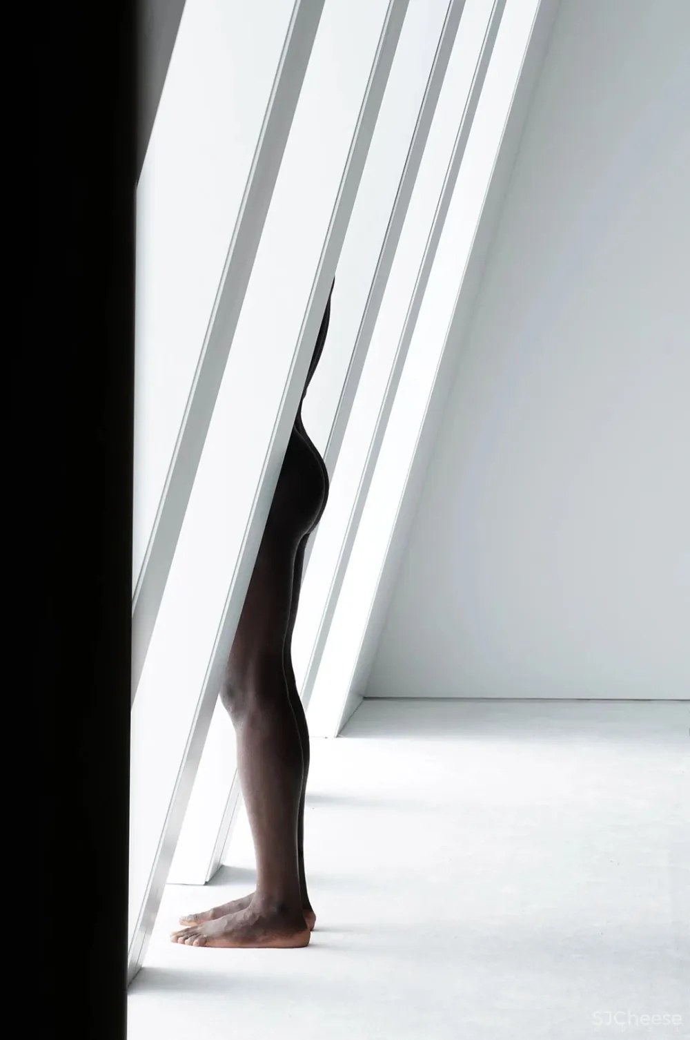 丁 鹏 文 极 简 到 极 致！