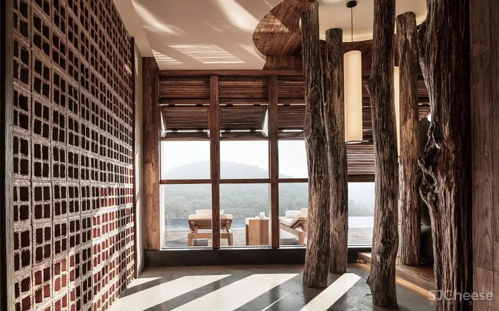 张灿新作 归隐到热带雨林中!