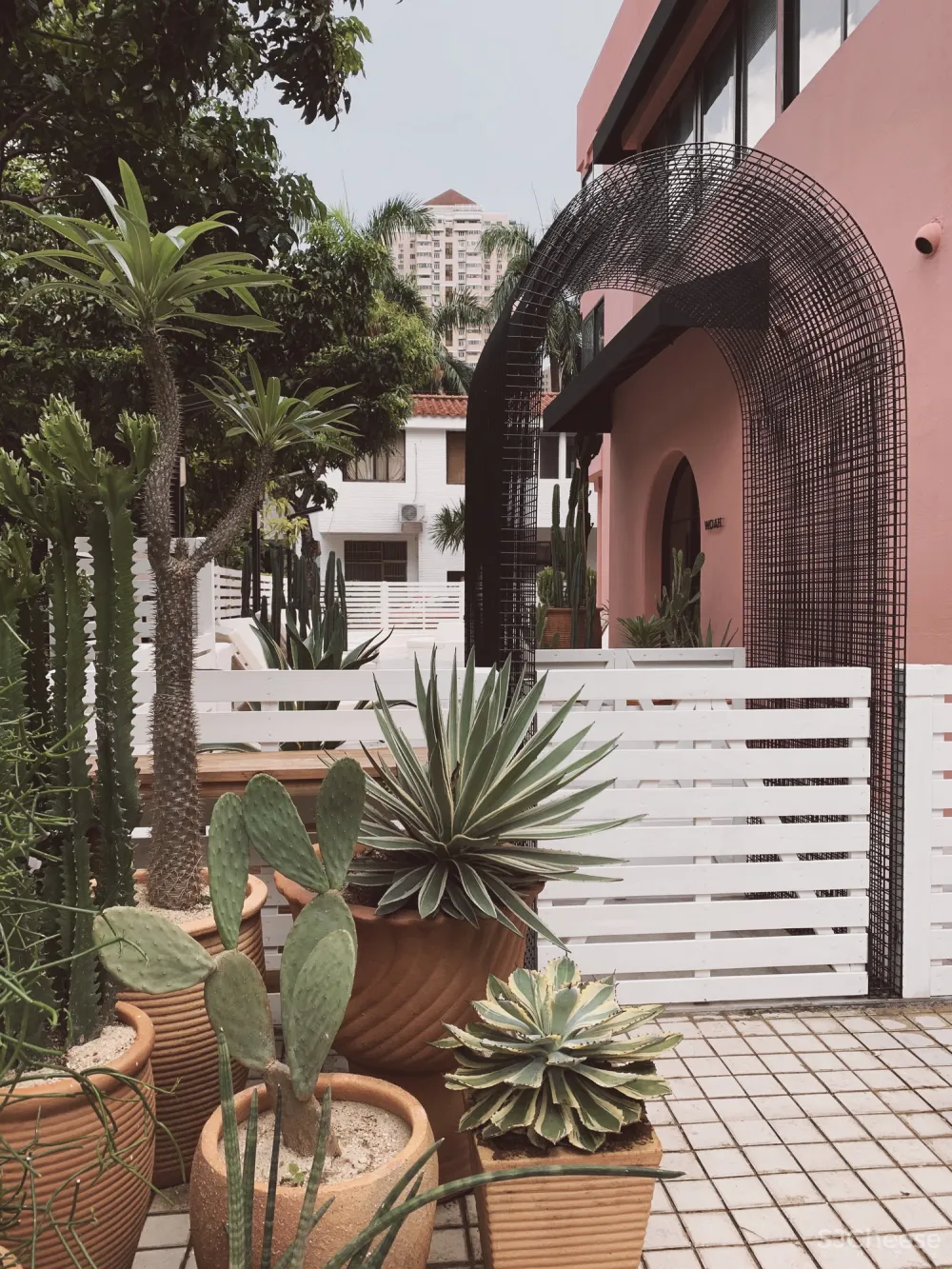 异域调性,打造热带感花园cafe丨睿上形素