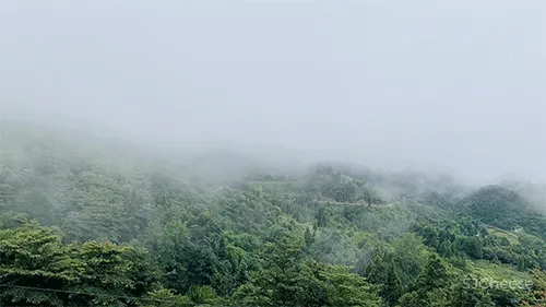 比清迈更清凉的同款田园生活!告别高温,不用防晒没有蚊虫,睡入云端的稻田之上!