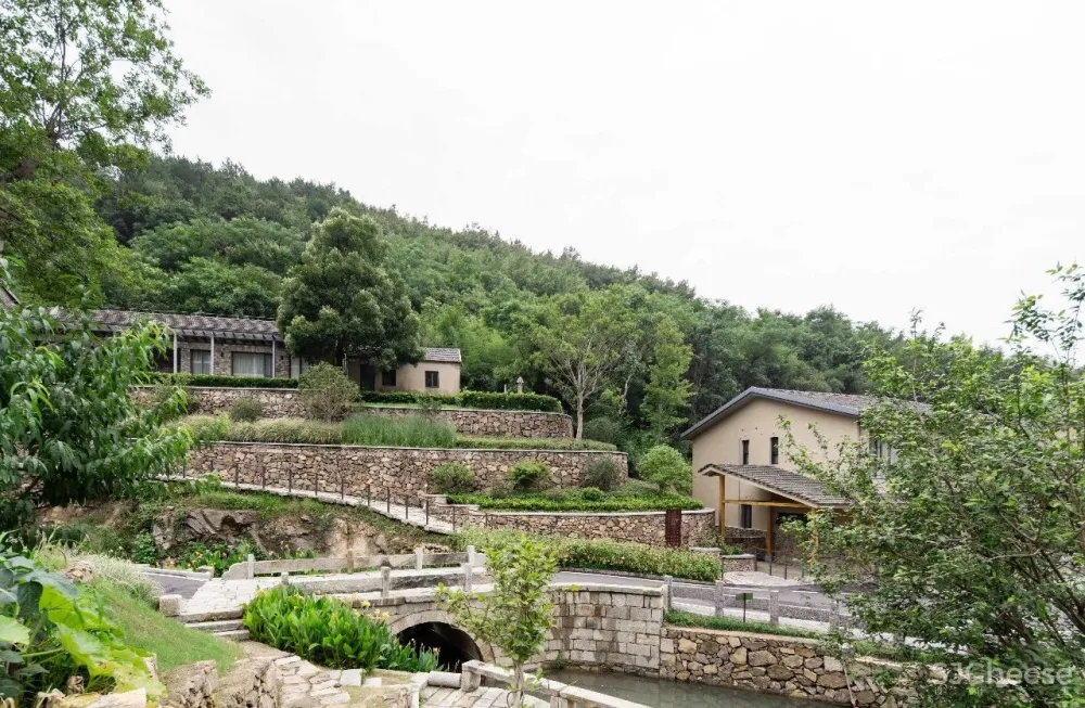 云里安凹：从14户普通民房到142亩精致山居，一座平凡村落的进化史