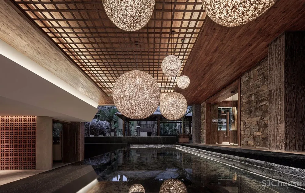 张灿新作 归隐到热带雨林中!