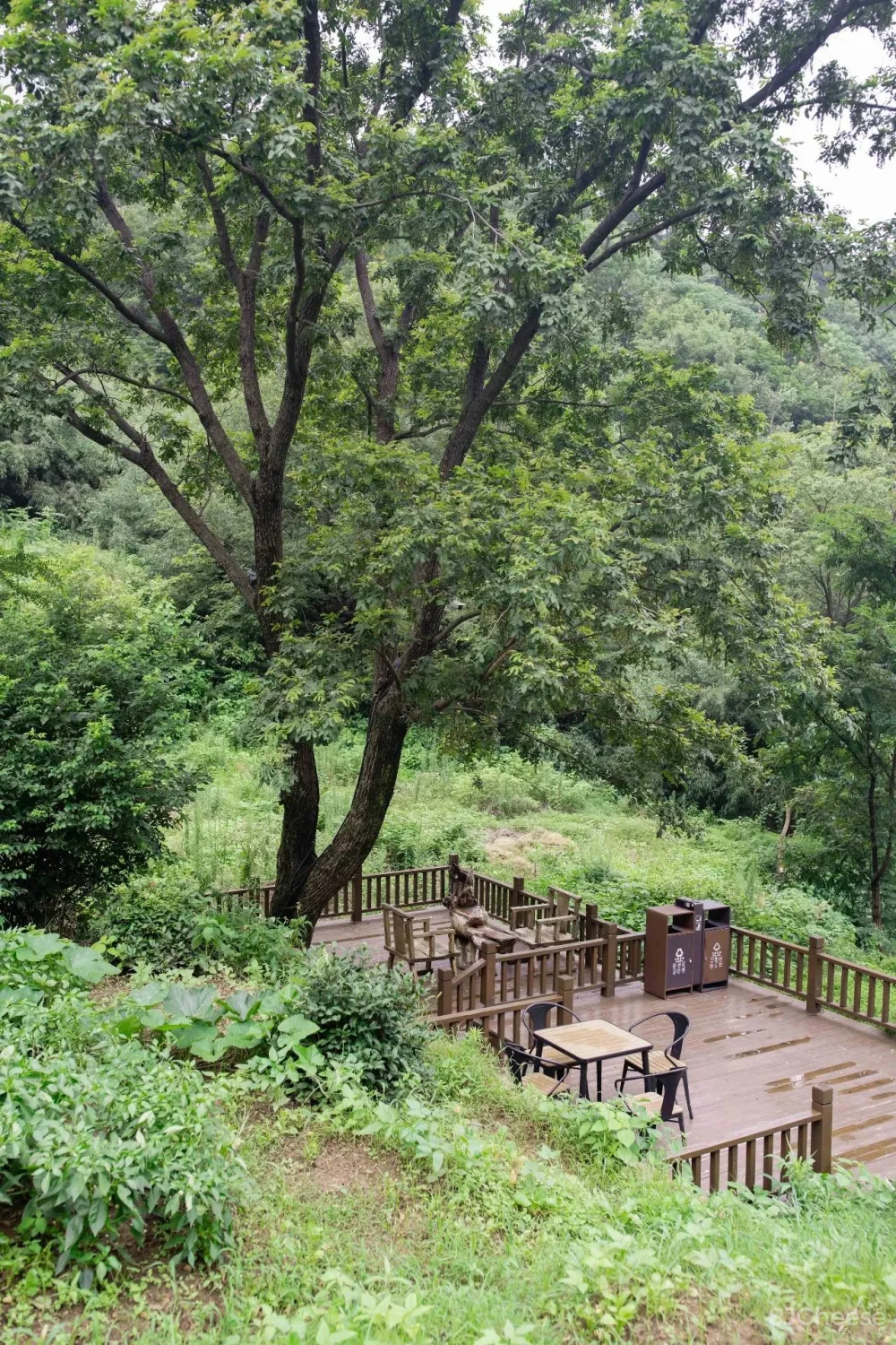 云里安凹：从14户普通民房到142亩精致山居，一座平凡村落的进化史