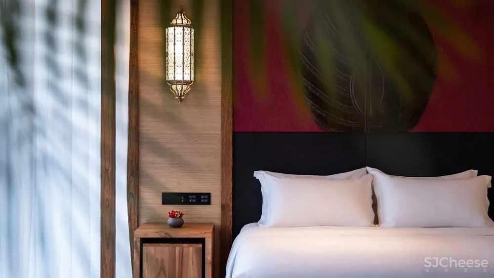 张灿新作 归隐到热带雨林中!