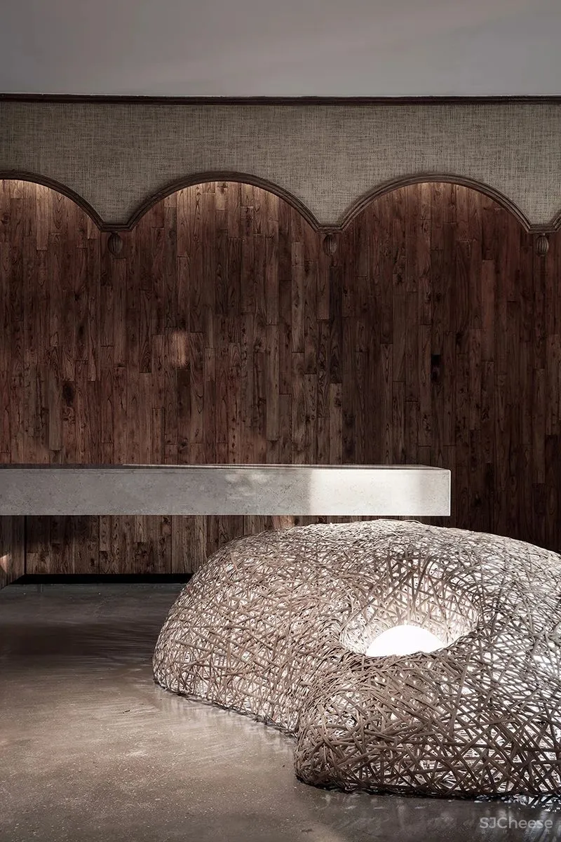 张灿新作 归隐到热带雨林中!