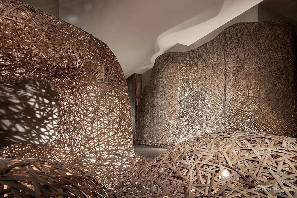 张灿新作 归隐到热带雨林中!