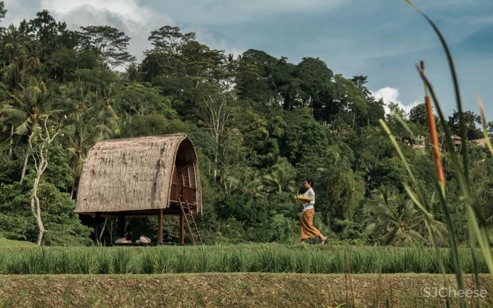 全球仅五间的丽思卡尔顿隐世,日本首家分号年底面世