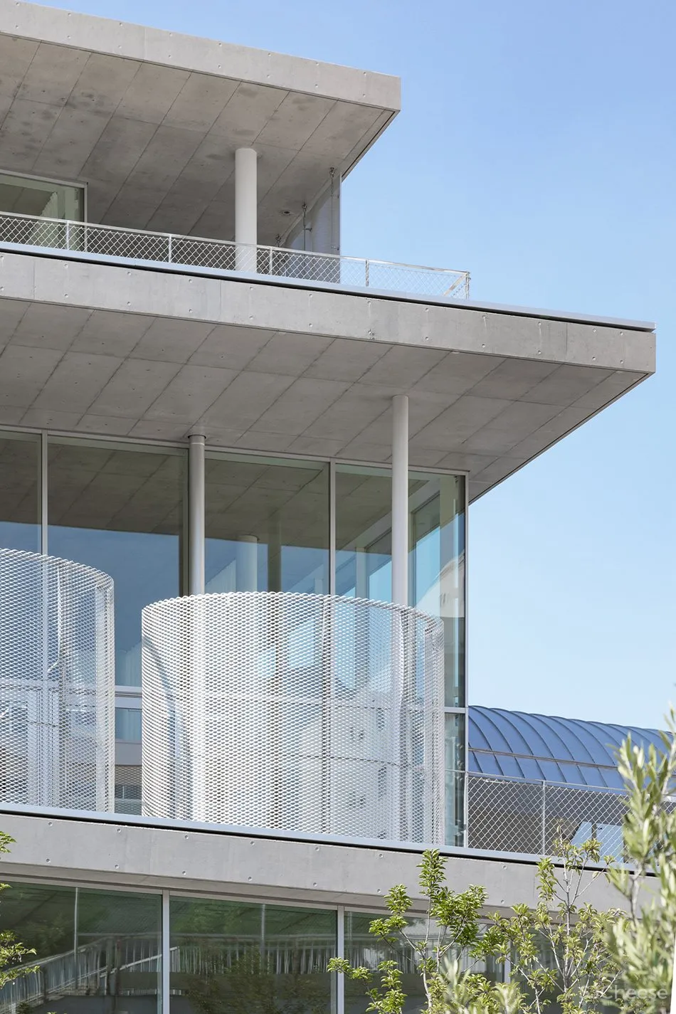 妹岛和世为母校设计的图书馆,用混凝土、玻璃构成的明净空间