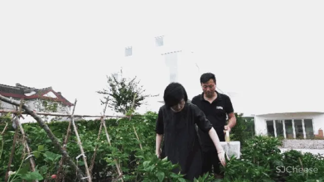 我家有地,为什么要造丑房子?上海夫妻200万造出极简别墅