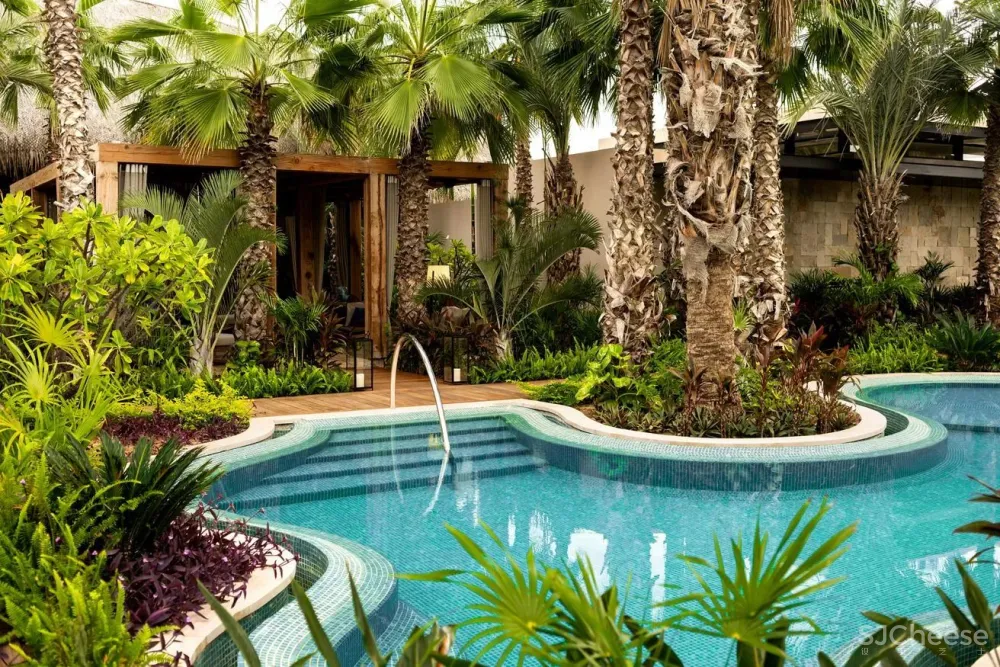 全球仅五间的丽思卡尔顿隐世,日本首家分号年底面世