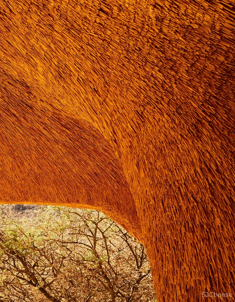 跨界狂人竟用茅草打造超级鸟巢住宅，这就是怪诞的野奢生活！