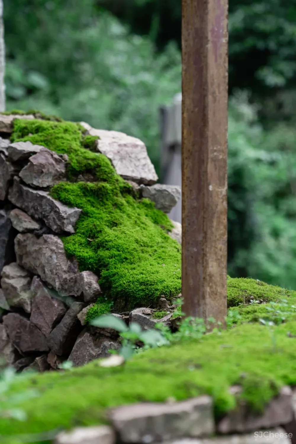 云里安凹：从14户普通民房到142亩精致山居，一座平凡村落的进化史