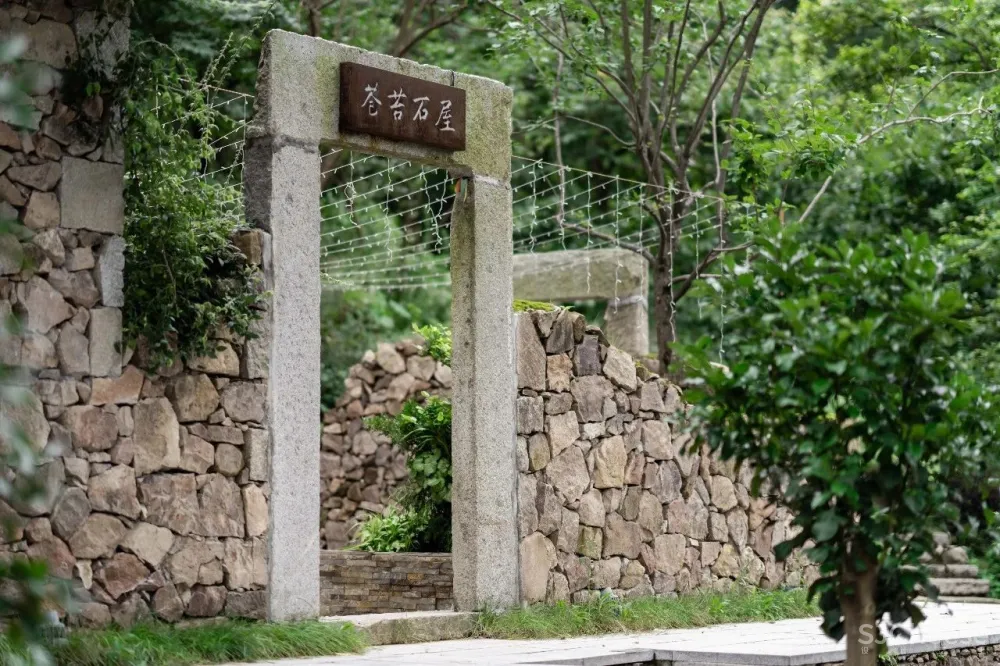 云里安凹：从14户普通民房到142亩精致山居，一座平凡村落的进化史