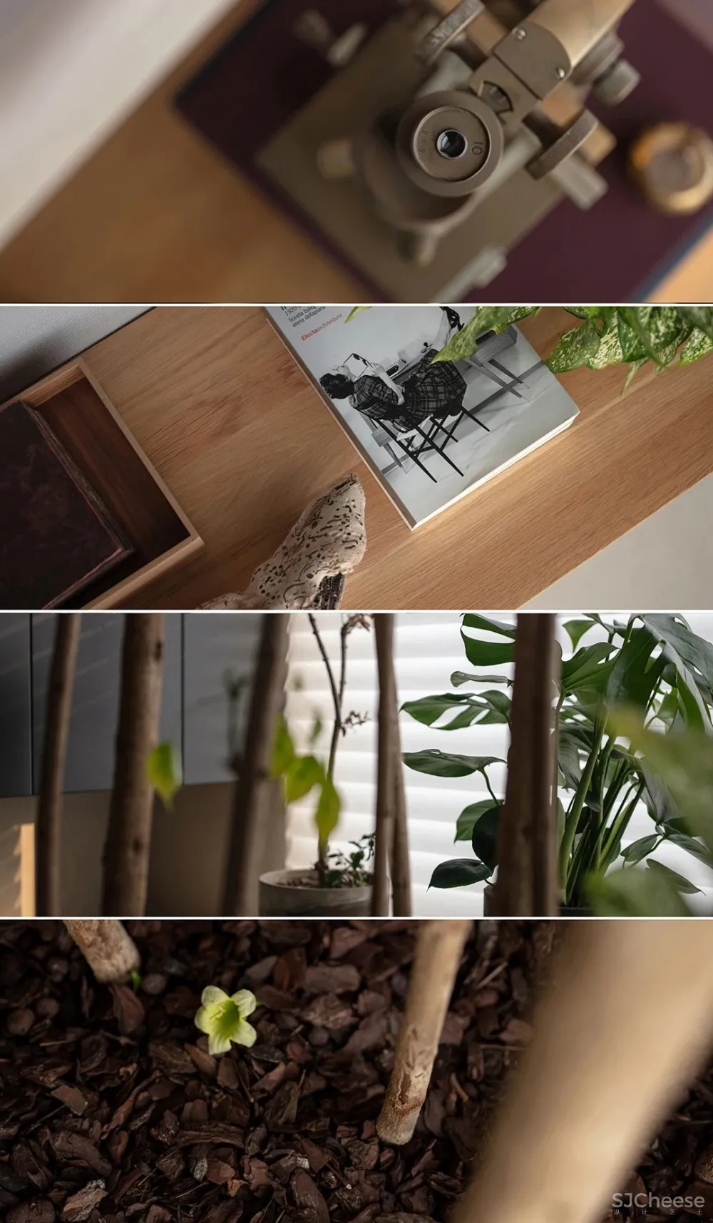 谷 腾 无 设 计 自 由 生 长