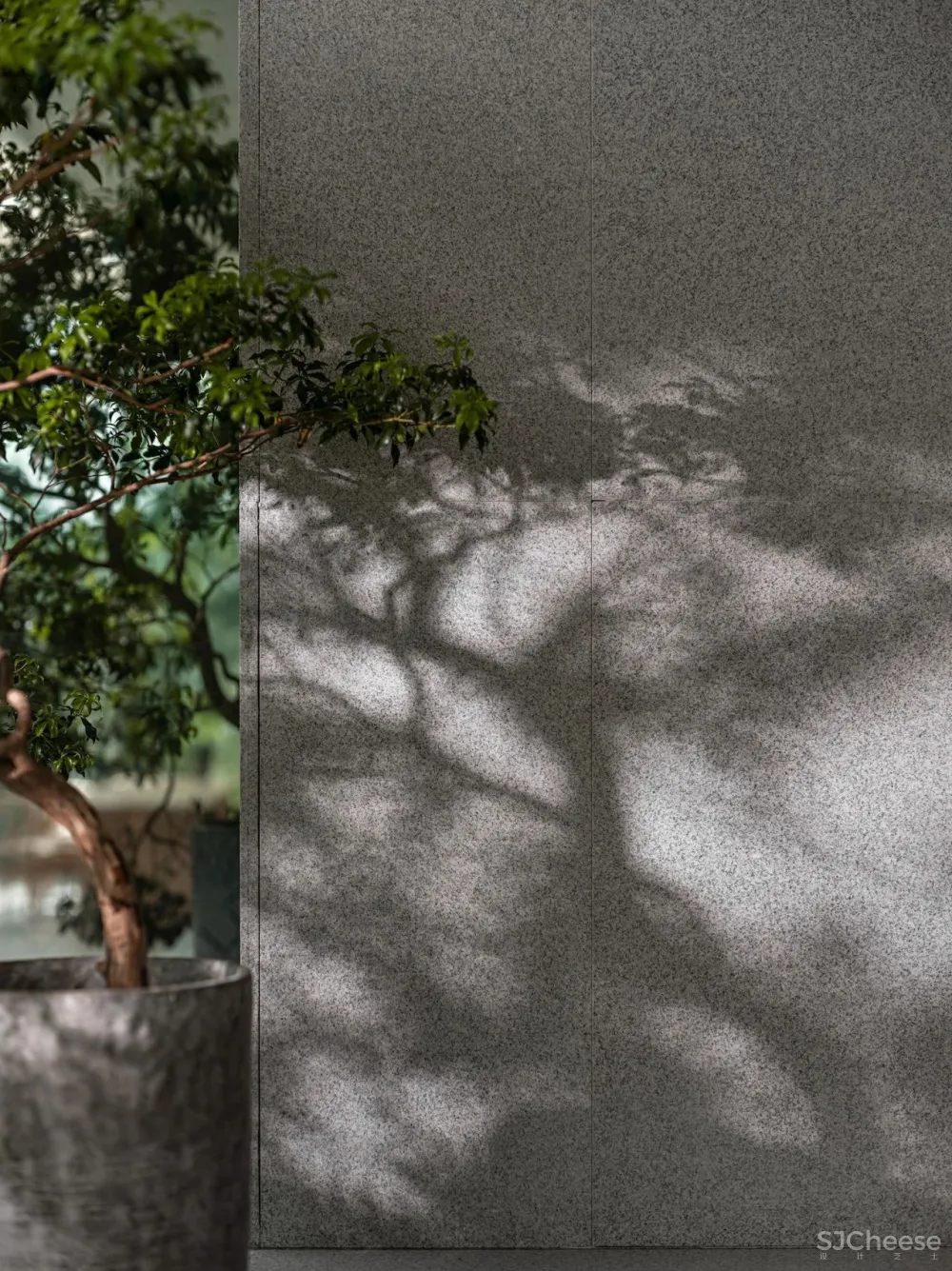 绽放设计:深圳大益茶体验馆,重新定义传统茶品牌