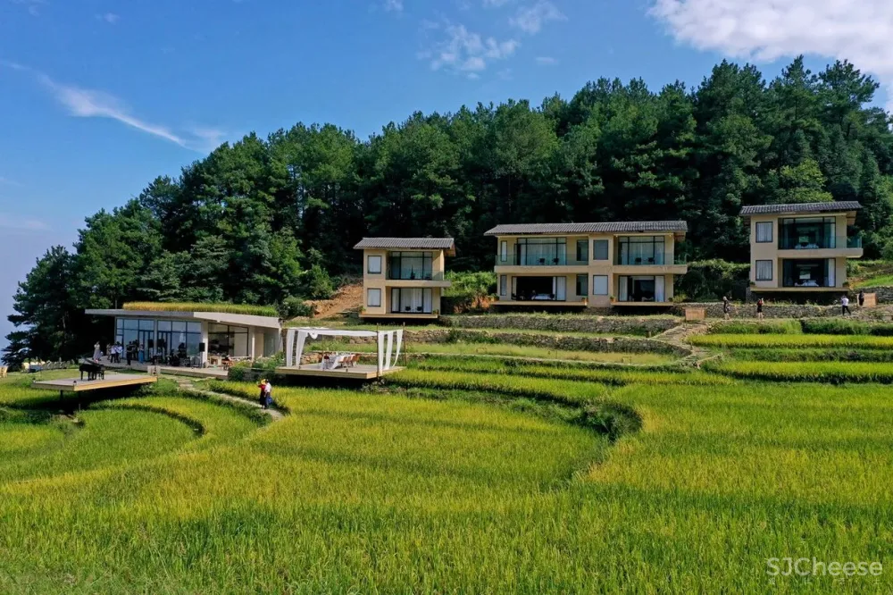 比清迈更清凉的同款田园生活!告别高温,不用防晒没有蚊虫,睡入云端的稻田之上!