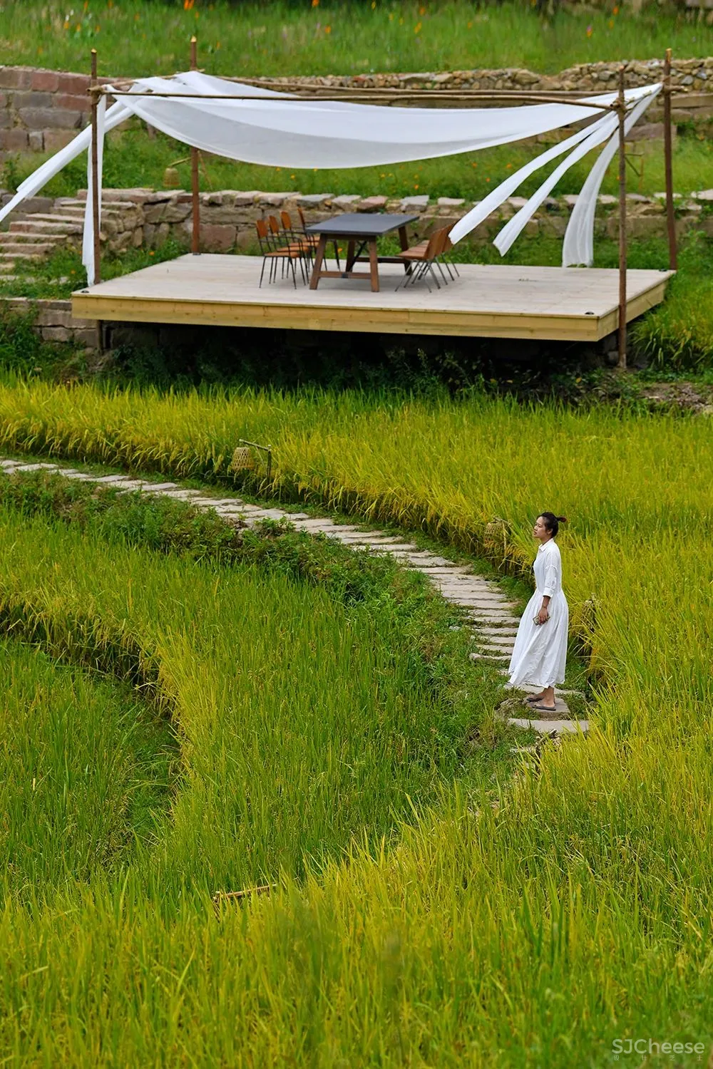 比清迈更清凉的同款田园生活!告别高温,不用防晒没有蚊虫,睡入云端的稻田之上!