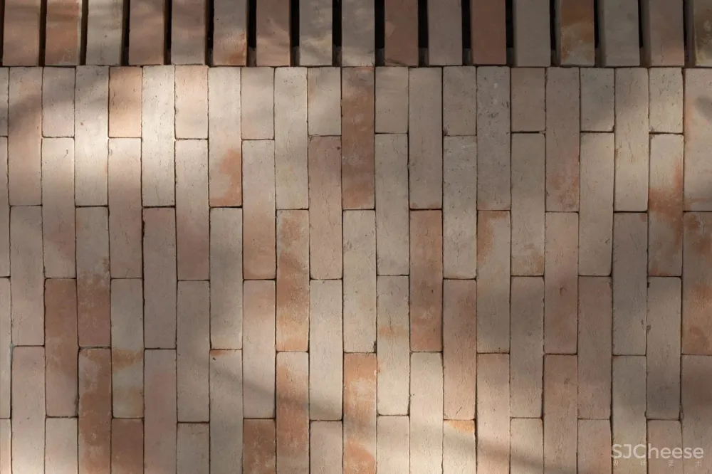 MNMA STUDIO在圣保罗的TERRACOTTA梦想中的两种热带风情。