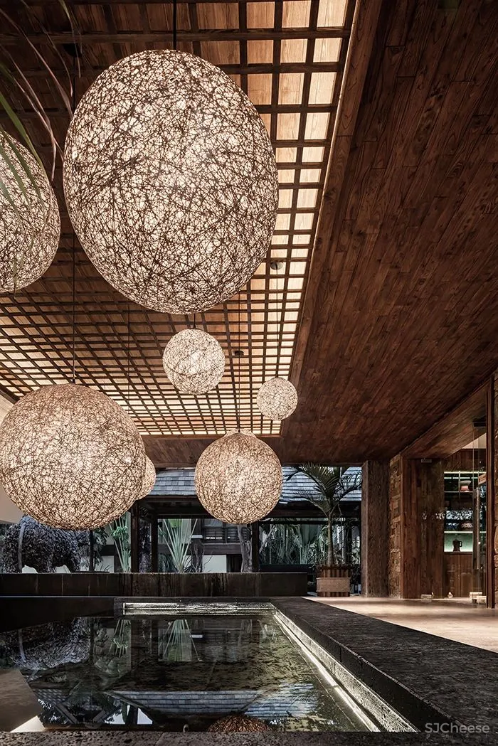 张灿新作 归隐到热带雨林中!