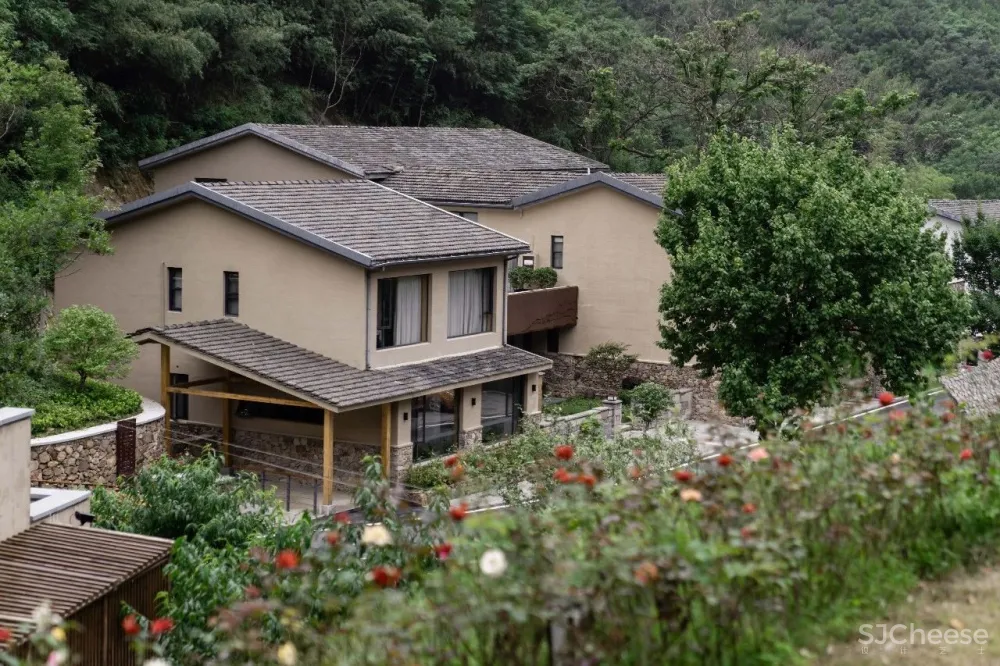 云里安凹：从14户普通民房到142亩精致山居，一座平凡村落的进化史