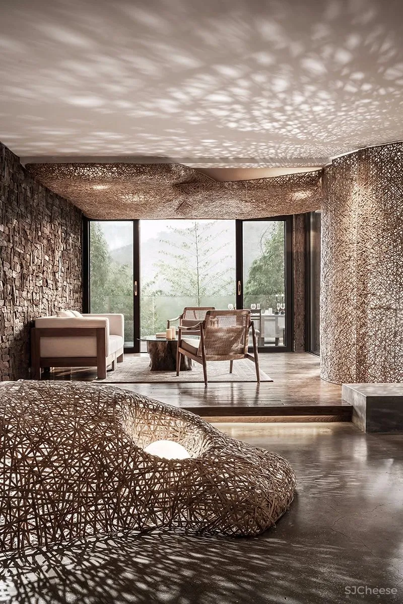 张灿新作 归隐到热带雨林中!