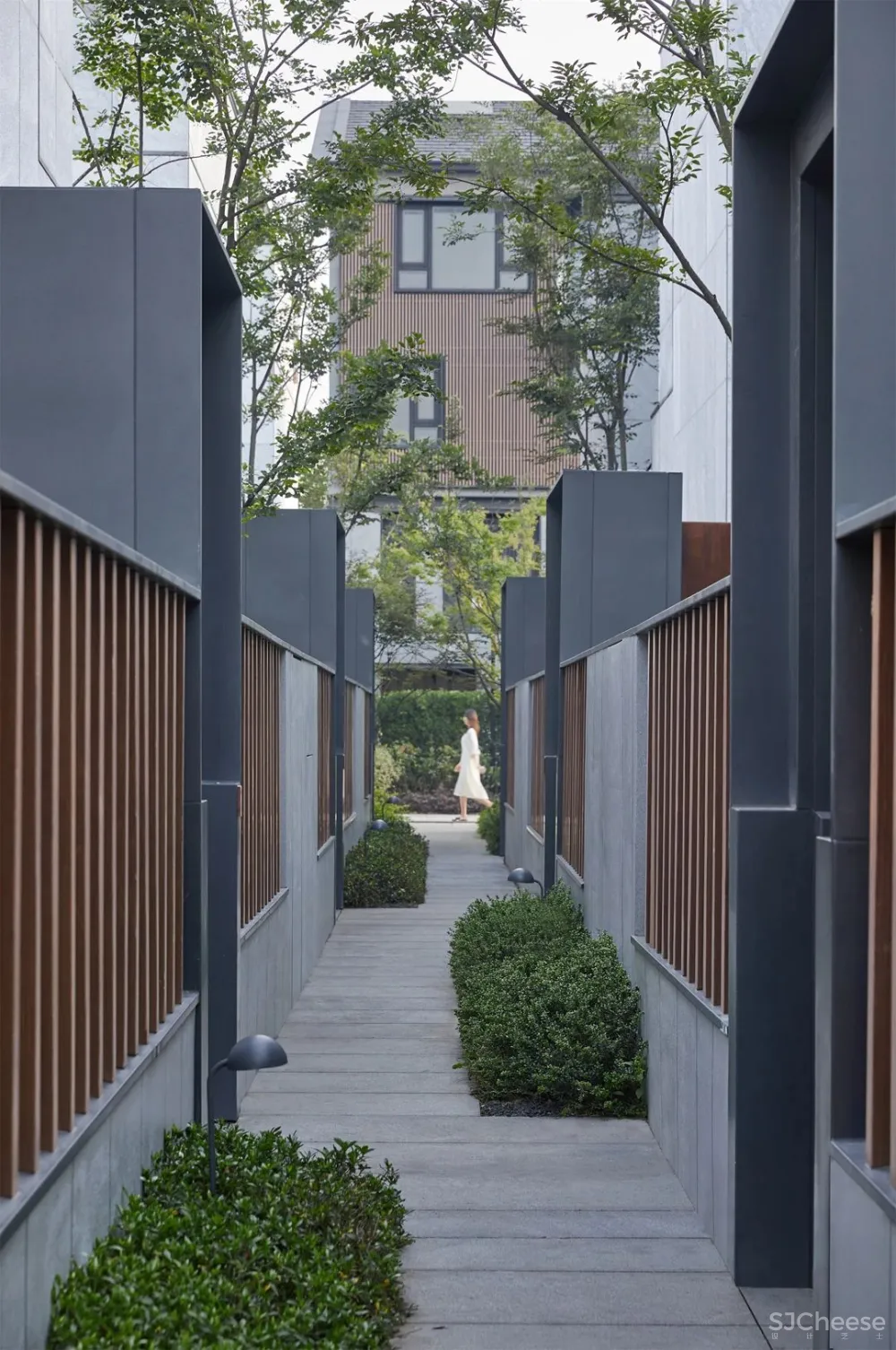 他们在苏州闹市「造院子」,假装在宋朝