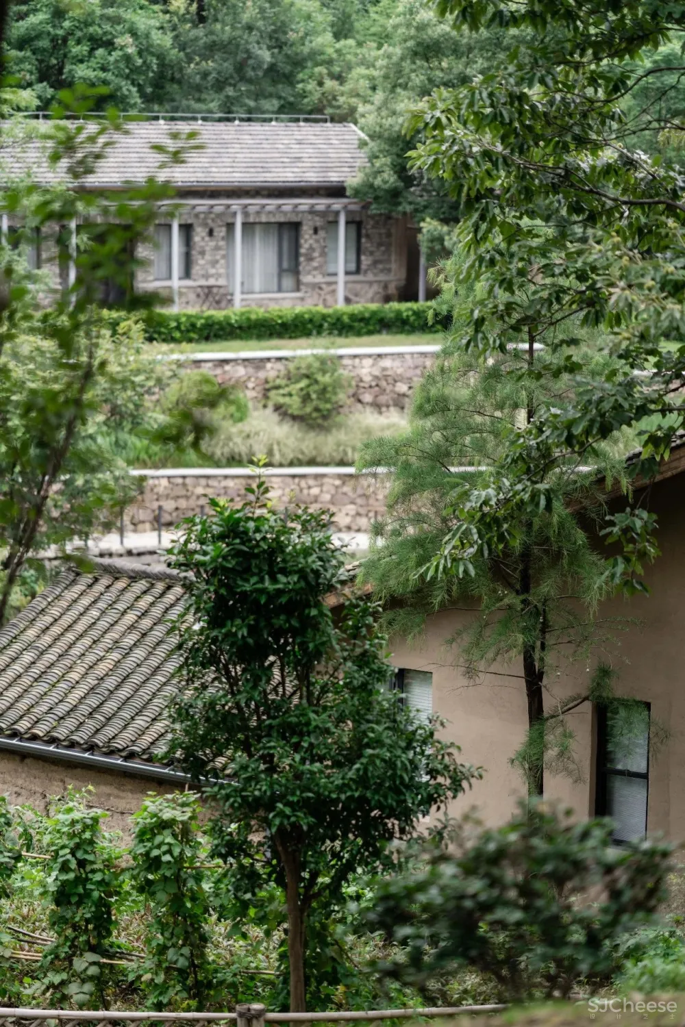 云里安凹：从14户普通民房到142亩精致山居，一座平凡村落的进化史