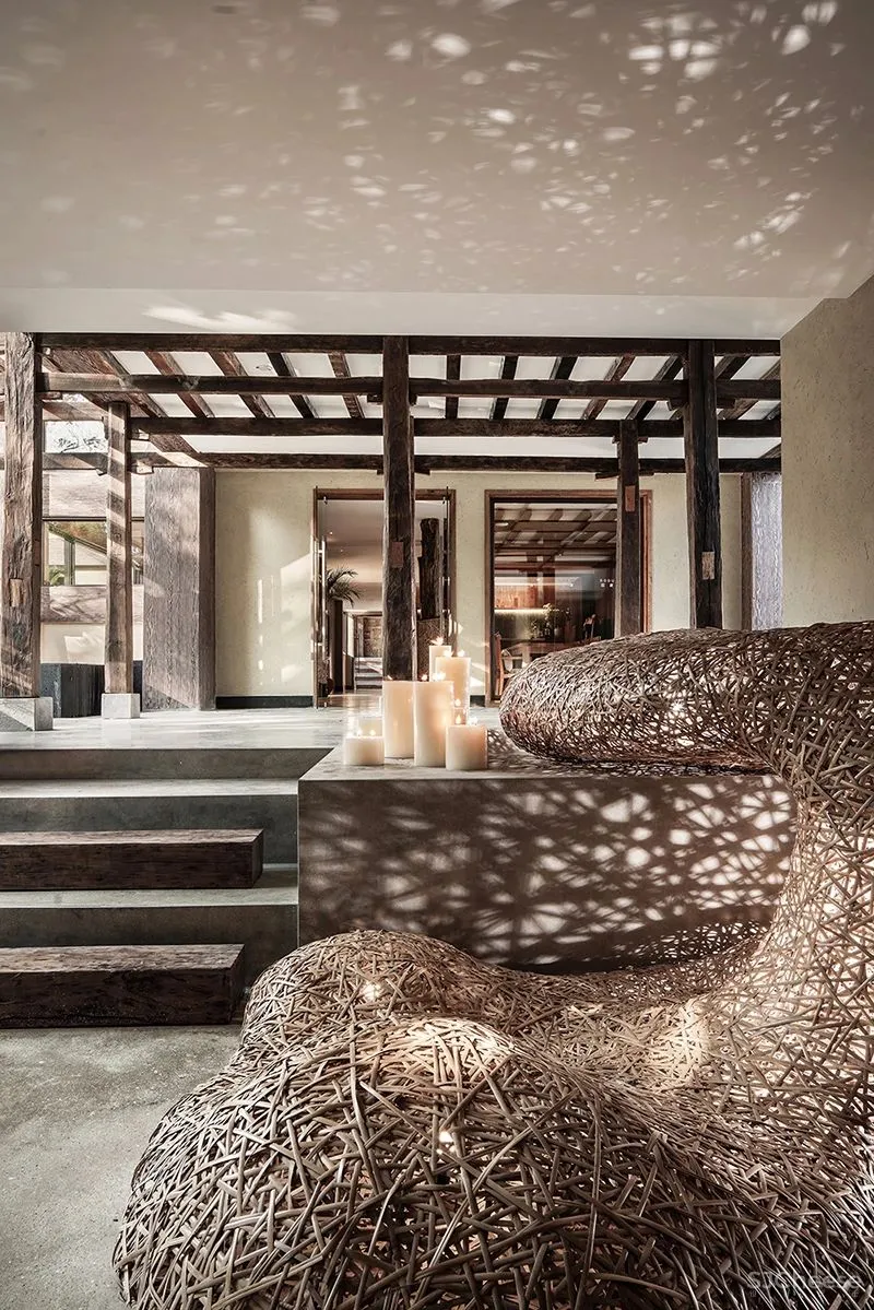 张灿新作 归隐到热带雨林中!