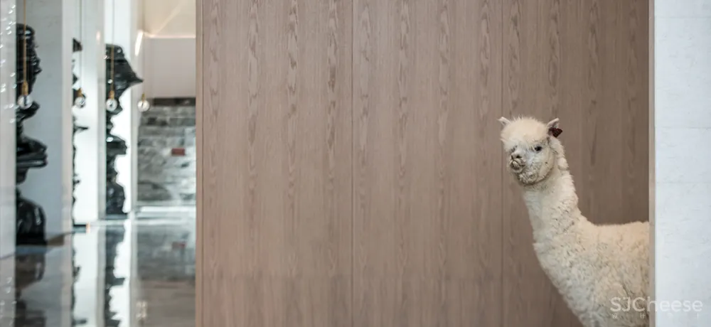 刘卫军:大时代美学家·笔记自然!