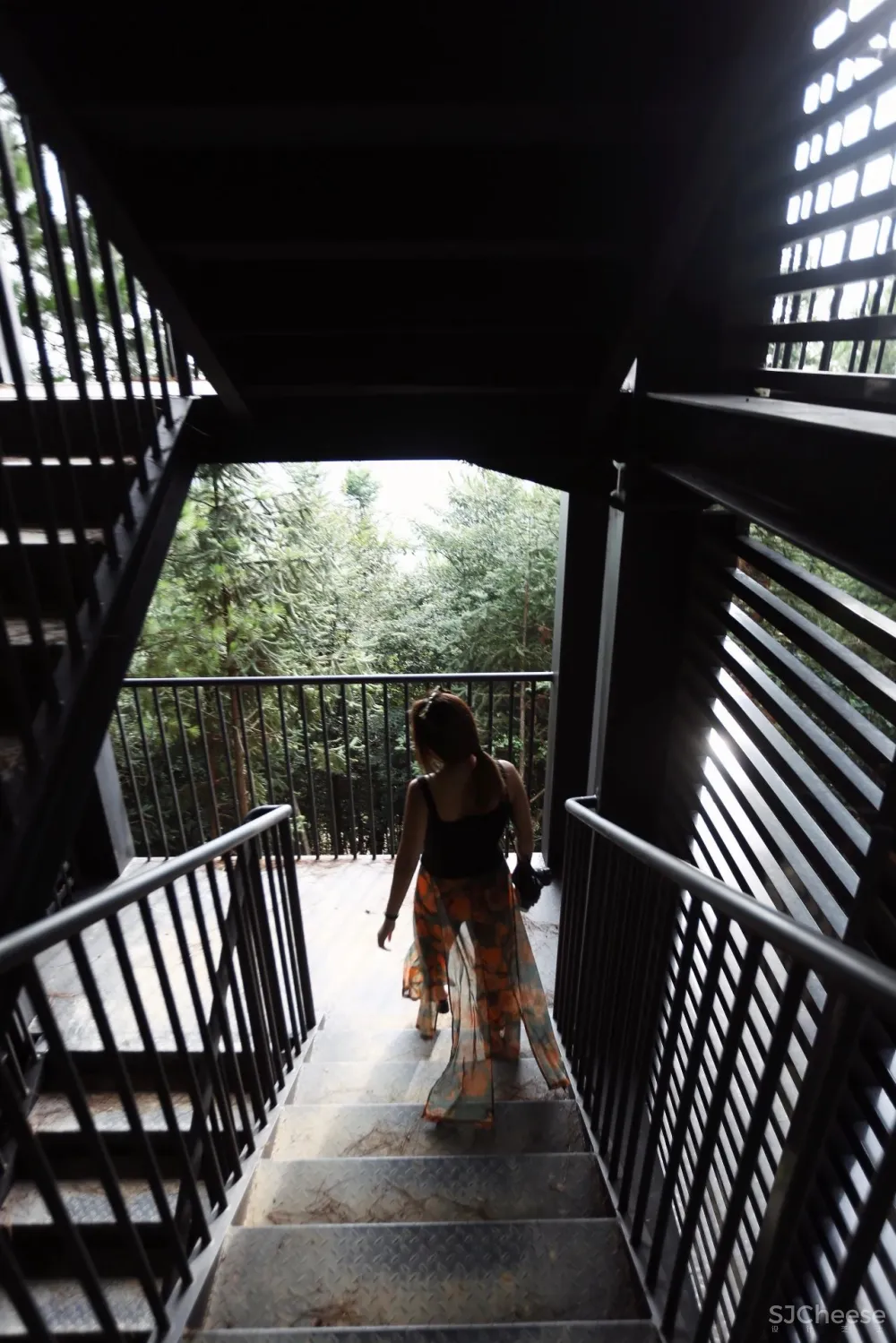 比清迈更清凉的同款田园生活!告别高温,不用防晒没有蚊虫,睡入云端的稻田之上!