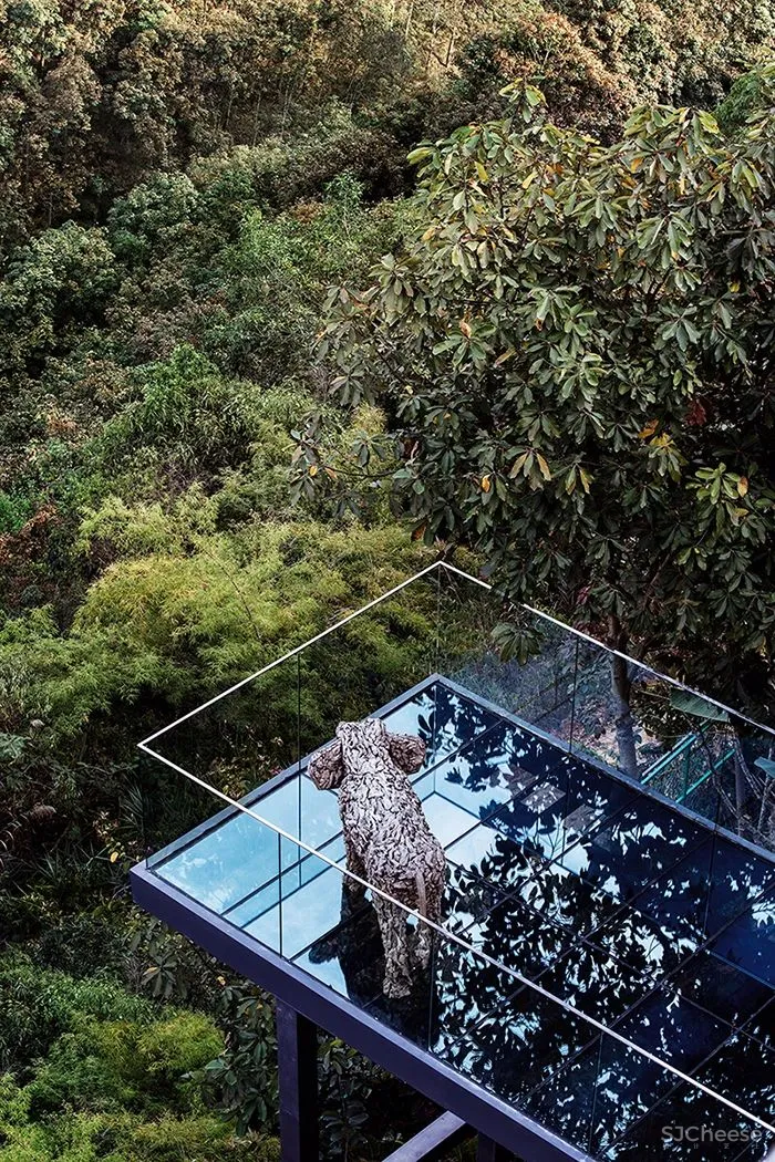 张灿新作 归隐到热带雨林中!