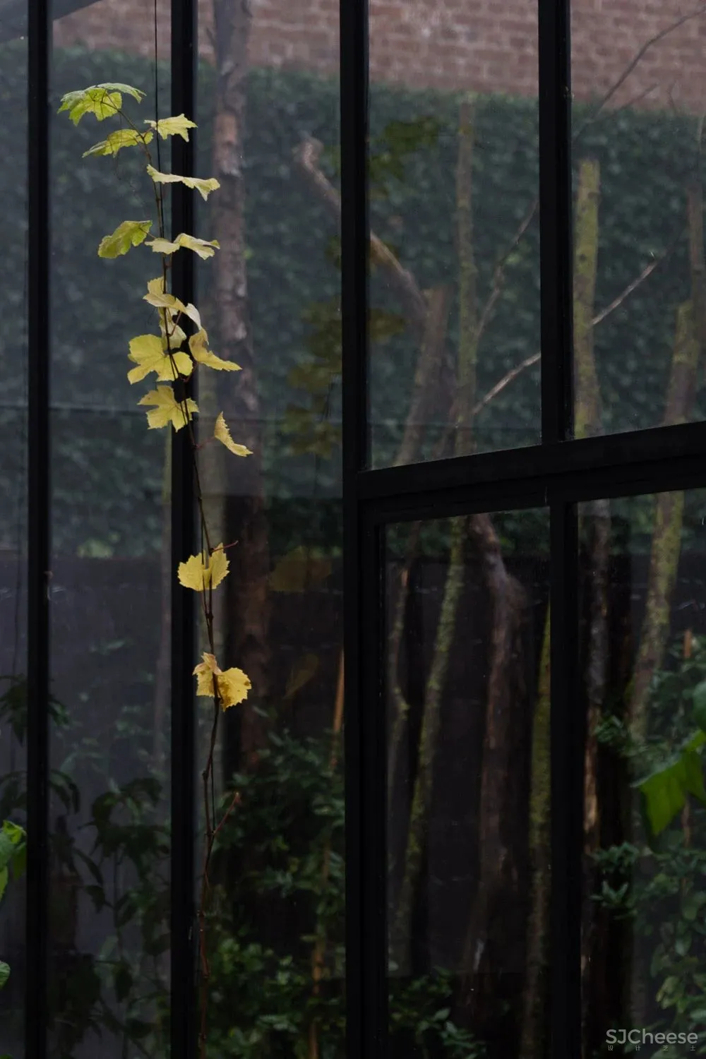 米其林大厨将餐厅开在莫奈画中静美的乡村,美食也是一种超级治愈!