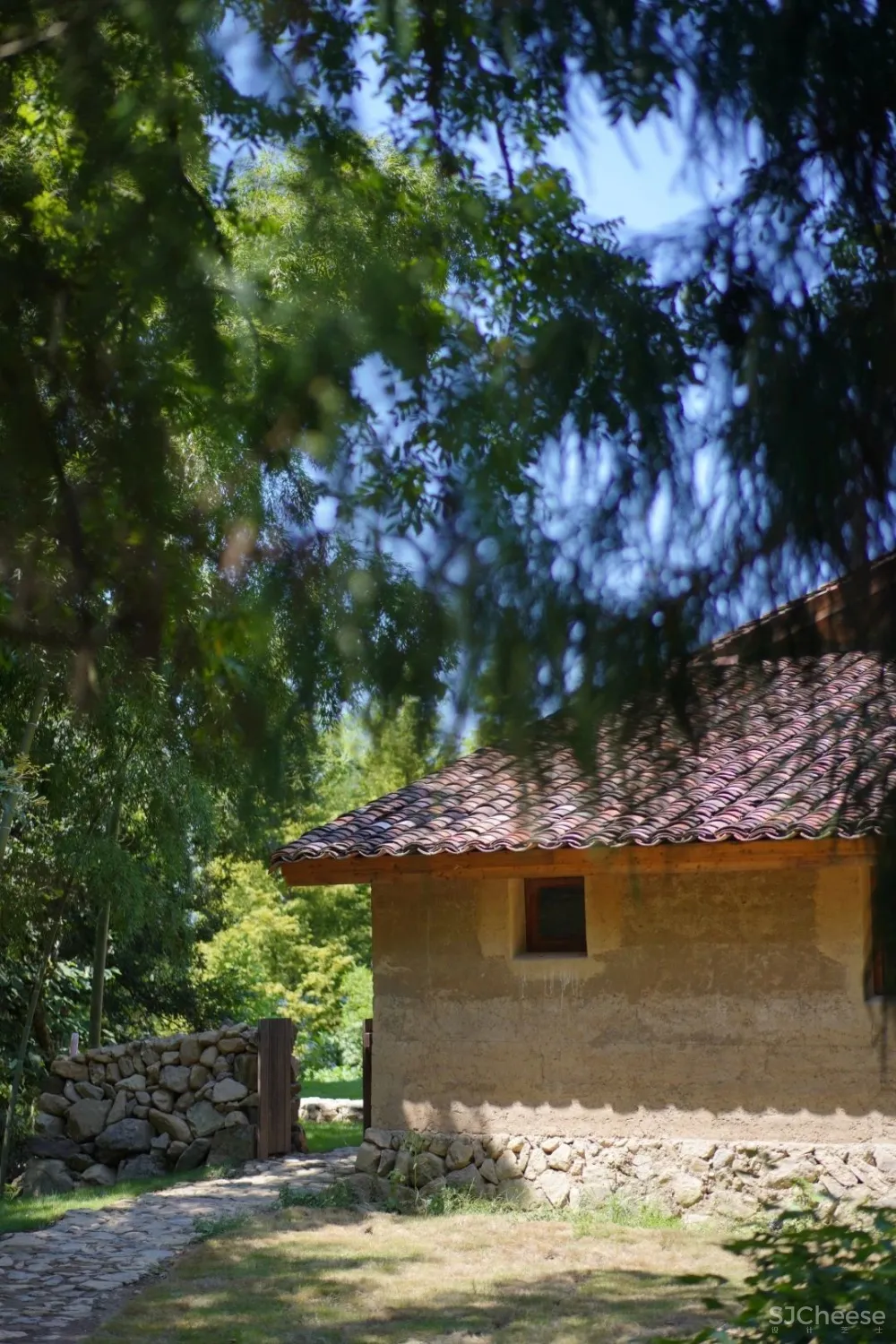 西坡又一新作,稻田躺吧、万亩梯田、四时瓜果……可以打卡了!