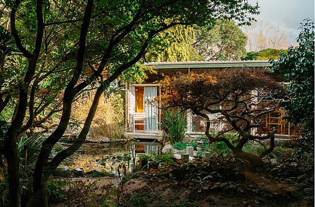 秋韵偏爱这抹自然色彩