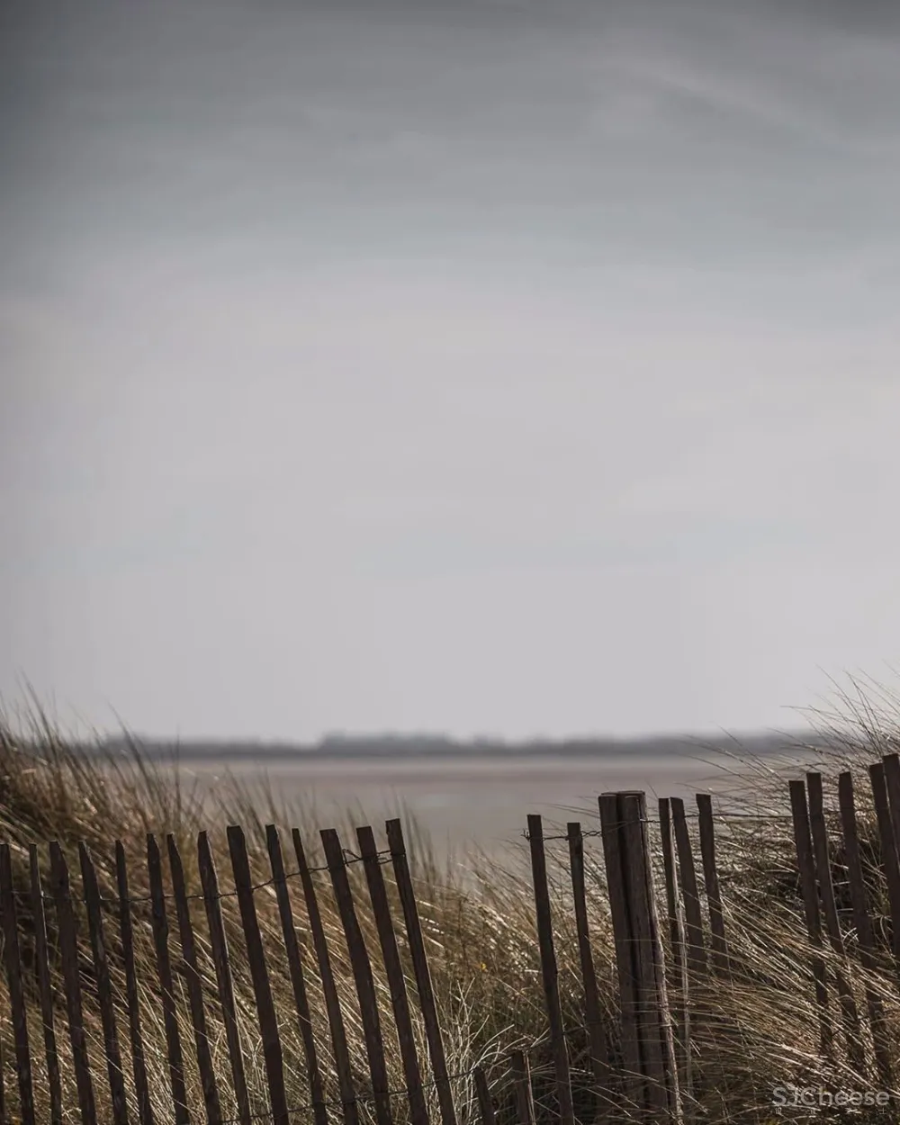 米其林大厨将餐厅开在莫奈画中静美的乡村,美食也是一种超级治愈!