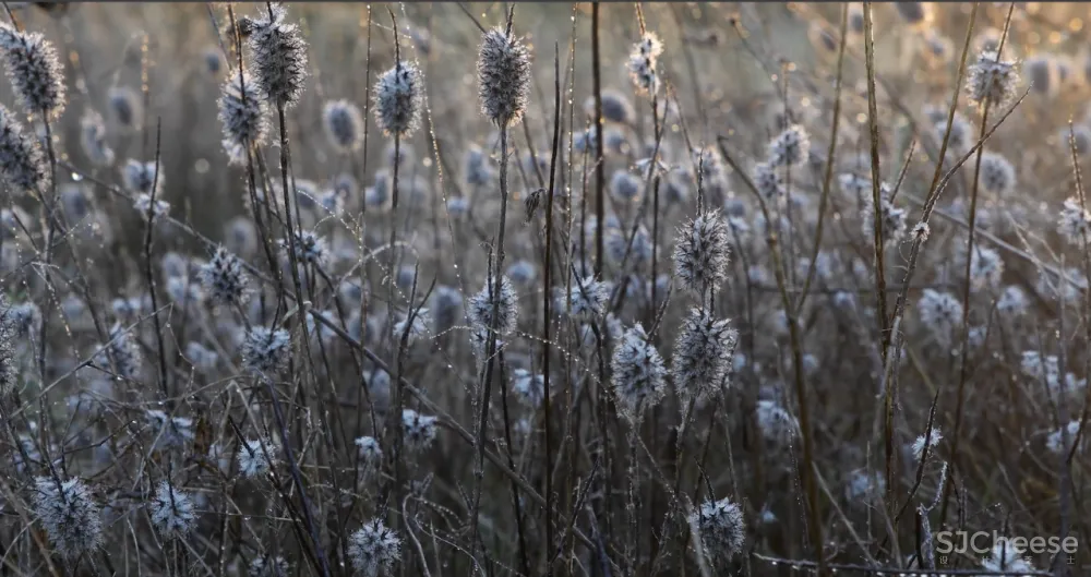 一座孤独的乡村民宿，400公顷田园丛林，这里的心灵治愈很高级！