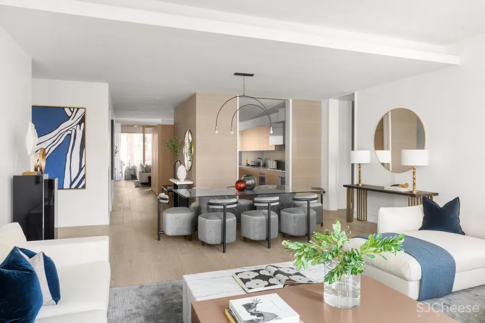 Real estate 纽约现代 自然舒适