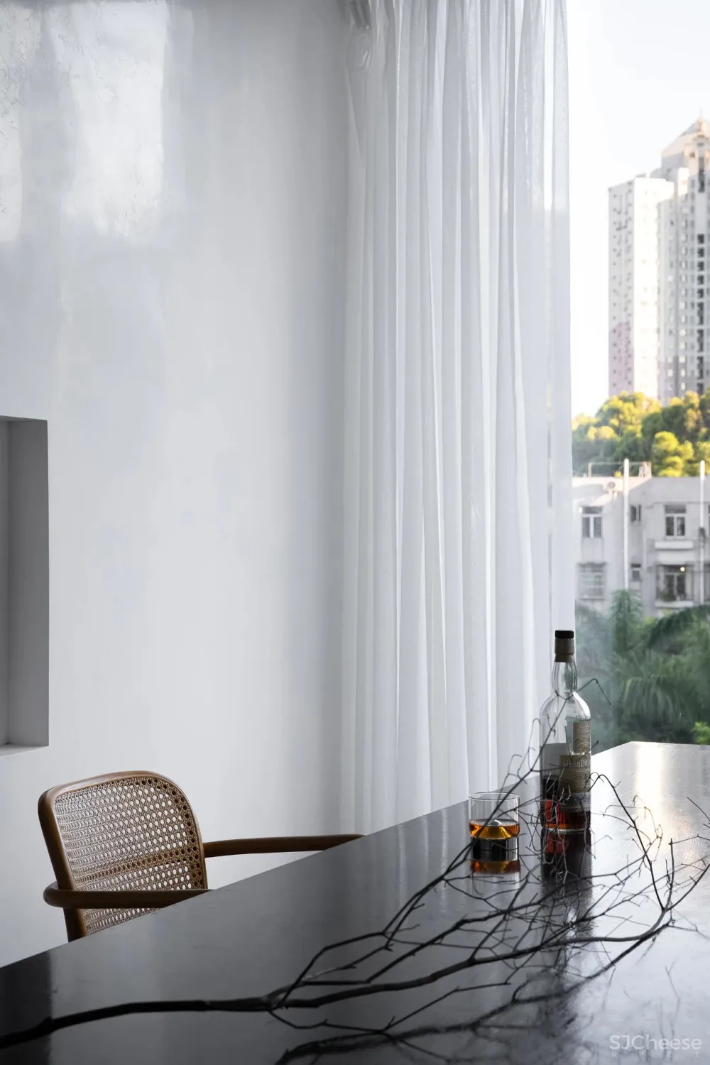 今古凤凰 来于自然,归于自然