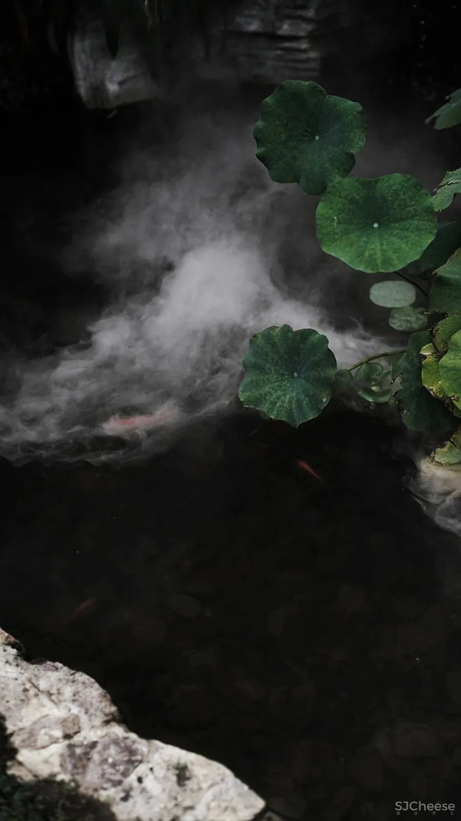 移步梦蓝美景,探寻安然意境 刘姮