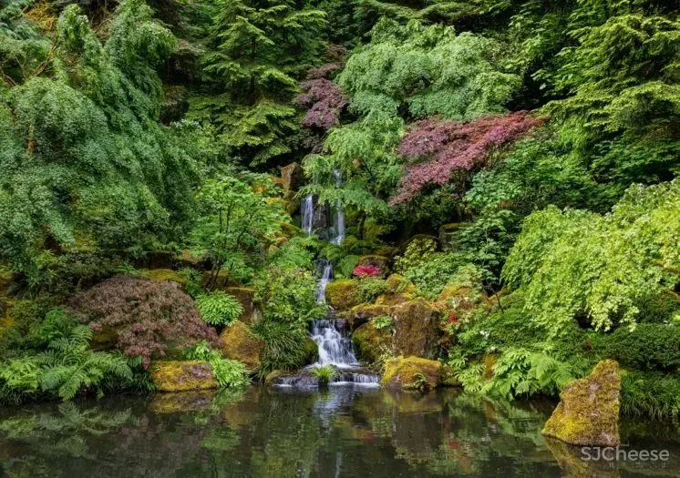 隈研吾设计的波特兰日本文化村,是如何成为文旅融合典范的?