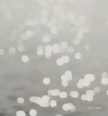 随光呼吸,潜入自然纯粹的生活